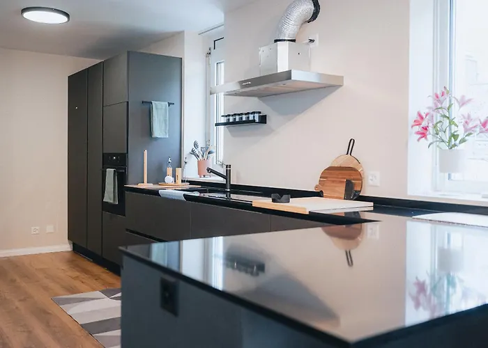 Penthouse No5 - Sky View Appartamento Visp